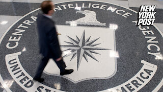 CIA sounds alarm over capture, killing of dozens of informants: report
