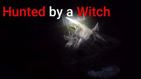 Hunted by a Witch