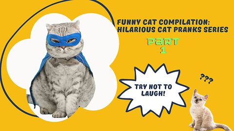 Funny Cat Compilation: Hilarious Cat Pranks Series - Part 1