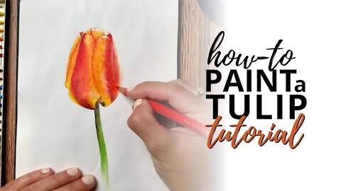 Painting a Tulip using Watercolor Pencils