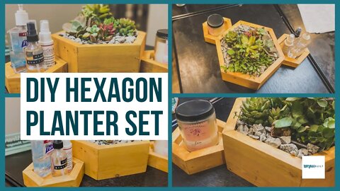 DIY Hexagon Desk Planter Set | Easy DIY Project