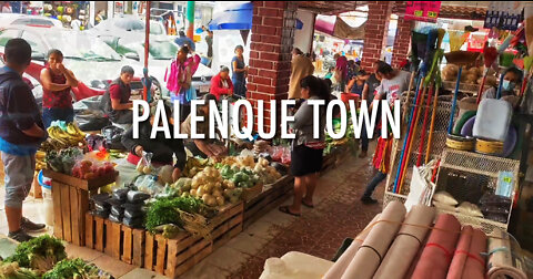 Discover the town of Palenque, Mexico (2022)