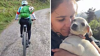 Big-hearted Cyclist Adopts Abandoned Dog She Found In The Mountains