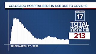 GRAPH: COVID-19 hospital beds in use as of Sept. 17, 2020