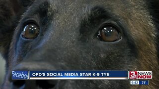 K9 Tye: OPD's social media star