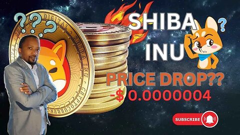 Shiba Inu Coin Price: Why did The Price Dump Yesterday ??