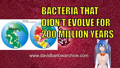 Microbe discovered in evolutionary stasis for millions of years