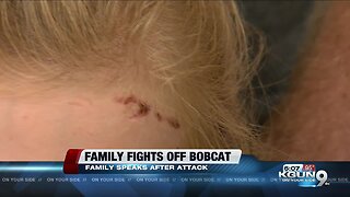 Family fights off bobcat