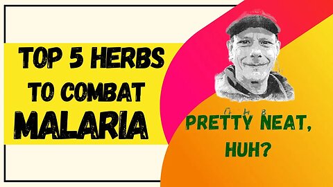 TOP 5 HERBS TO COMBAT MALARIA AND THE SCIENCE BEHIND THEM - #health #nature #science