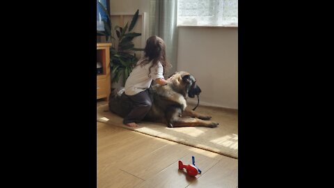 Adorable Girl with chicken pox plays with German Shepherd Dog