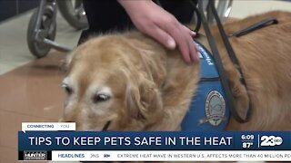 Tips to keep pets safe in the heat