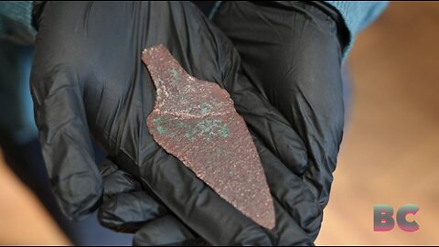 ‘Extremely Rare’ 4,000-Year-Old Copper Dagger Discovered in Forest