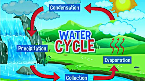 the process of water cycle || how to rainfall from and fall on the Earth || Tataclassedge