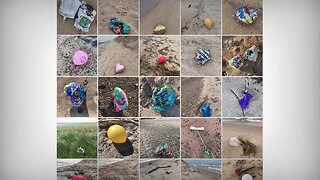 Photos of balloon debris submitted with survey