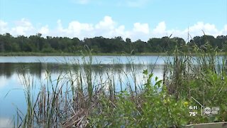 $2 million still needed to preserve 'last piece of paradise' in Pinellas County