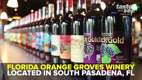 Florida Orange Groves Winery sells 100% tropical, citrus and berry wine | Taste and See Tampa Bay