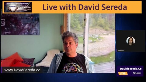 David Sereda Lightstream Harmonics Frequencies Devices an in Depth Overview