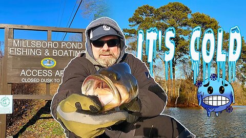 Millsboro Pond Winter Fishing 2022