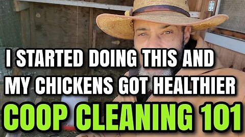 These CHICKEN COOP CLEANING TIPS will lead to a HEALTHIER FLOCK