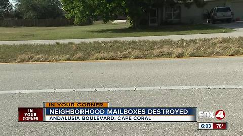 Mailboxes destroyed by cars in Cape Coral
