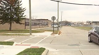 Hazel Park teen girl fights back & tases man who allegedly tried to sexually assault her