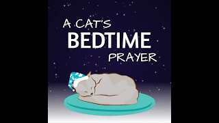A Cats Bedtime Prayer [GMG Originals]