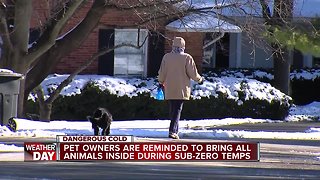 MHS: Healthy pets can still freeze to death in subzero temperatures