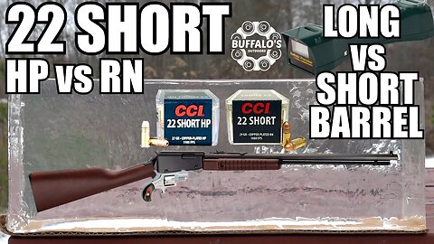 22 SHORT - BALLISTIC GEL - LONG BARREL & SHORT BARREL