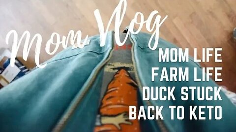 VLOG | Mom Life, Duck Stuck, Getting Back on Keto