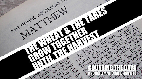 The Wheat & The Tares Grow Together Until The Harvest