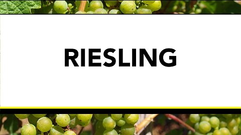 Riesling - Segment