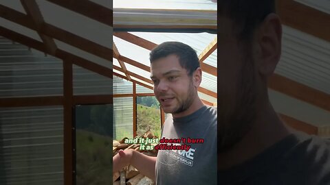 SNEAK PEAK at our wood drying technique! #homesteading #choppingwood #greenhouse