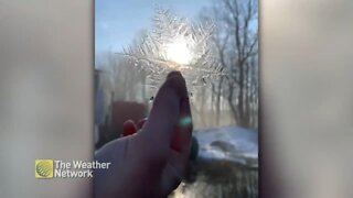 Glimmering ice stars are pulled from a chilly pond