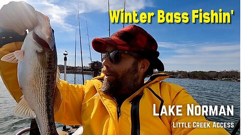 Winter Time Bass Fishing - Deep Water Cranking - Lake Norman - Little Creek Access Area - Denver, NC