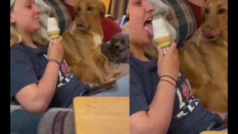Woman enjoying her ice cream while her cute dog looks