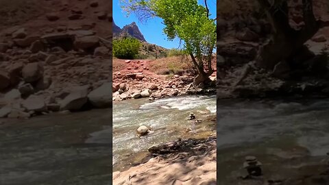 Broke Moe And Groucho Go On Vacation To Zion National Park!