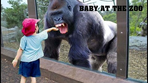 TRY NOT TO LAUGH | Funny Babies video At The Zoo - LAUGH TRIGGER