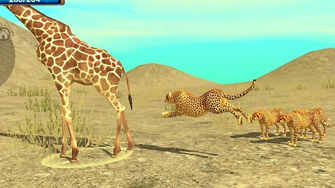 Wild Cheeta Simulator - Prey With Family - 3D Android , ios Live Gameplay