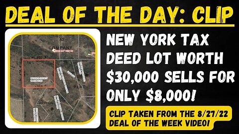 5-Acre Tax Deed Lot sells for $8,000! Buy Land and Sale for Profit, Auction Review...