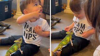 Toddler gets a "kiss" from his pet chameleon