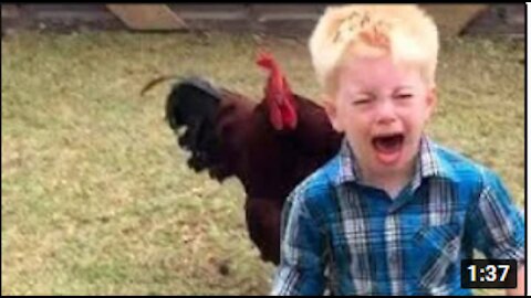 Funny chickens and roosters Chasing kids and adults 😂😂||funny videos compilation 20201