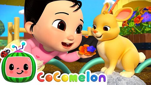cocomelon | cocomelon 5 little ducks | 123 cocomelon song