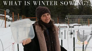 Winter Sowing and Winter Projects | Adventures In Reality