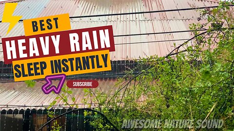 SLEEP Instantly to HEAVY RAIN on Tin Roof | Sleep Deep & Beat insomnia | 5 hours of Heavy Rain