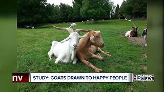 Smiling people make goats happy.