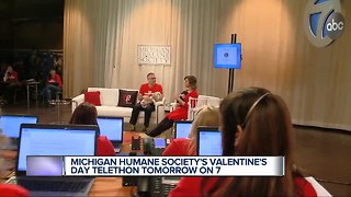 Michigan Humane Society's Valentine's Day Telethon tomorrow on 7 Action News