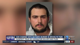 25-year-old man arrested for murdering his mother on Valentine's Day