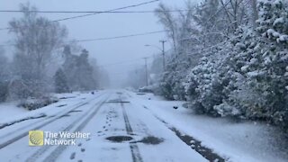 Snow squalls coat the ground in white in Keswick, Ont.