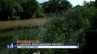 Lagoon Restoration Project at Humboldt Park