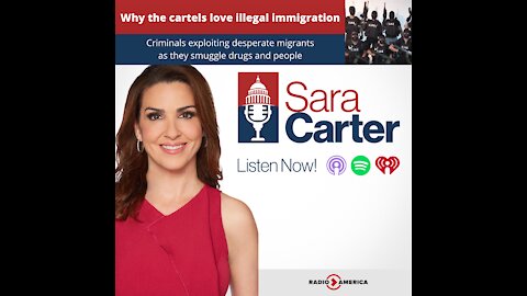 Why the cartels love illegal immigration